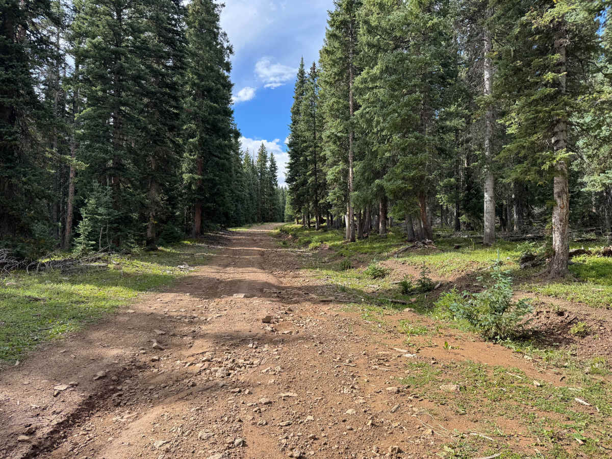 Dillons Cabin Road photo 5