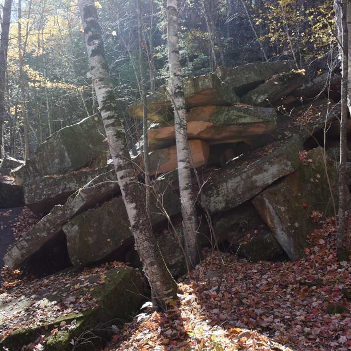 Near Hiking Club Trail Near Hiking Club Trail