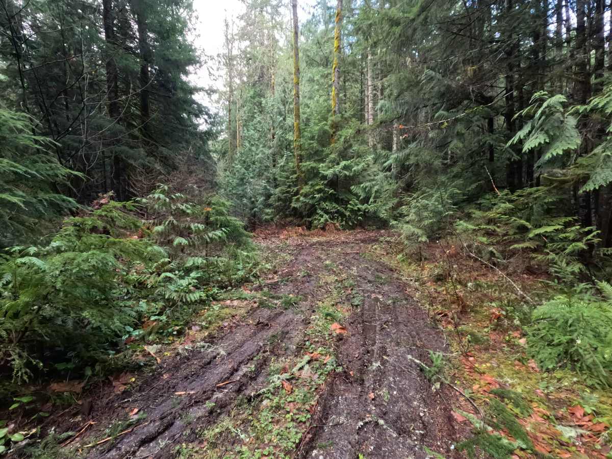 North Side Dan's Creek - FS 2130 photo 5
