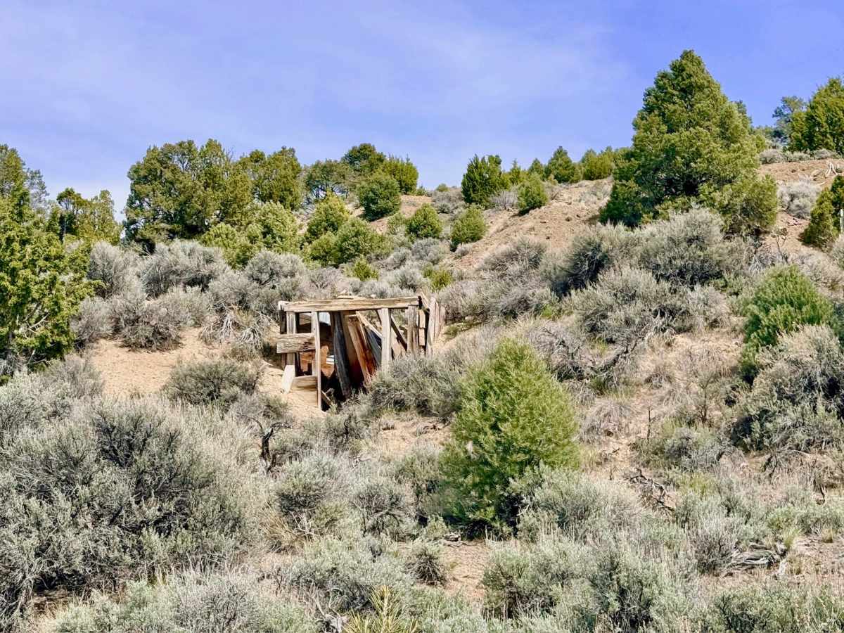 Apex Mine Alternate FS43238 photo 3