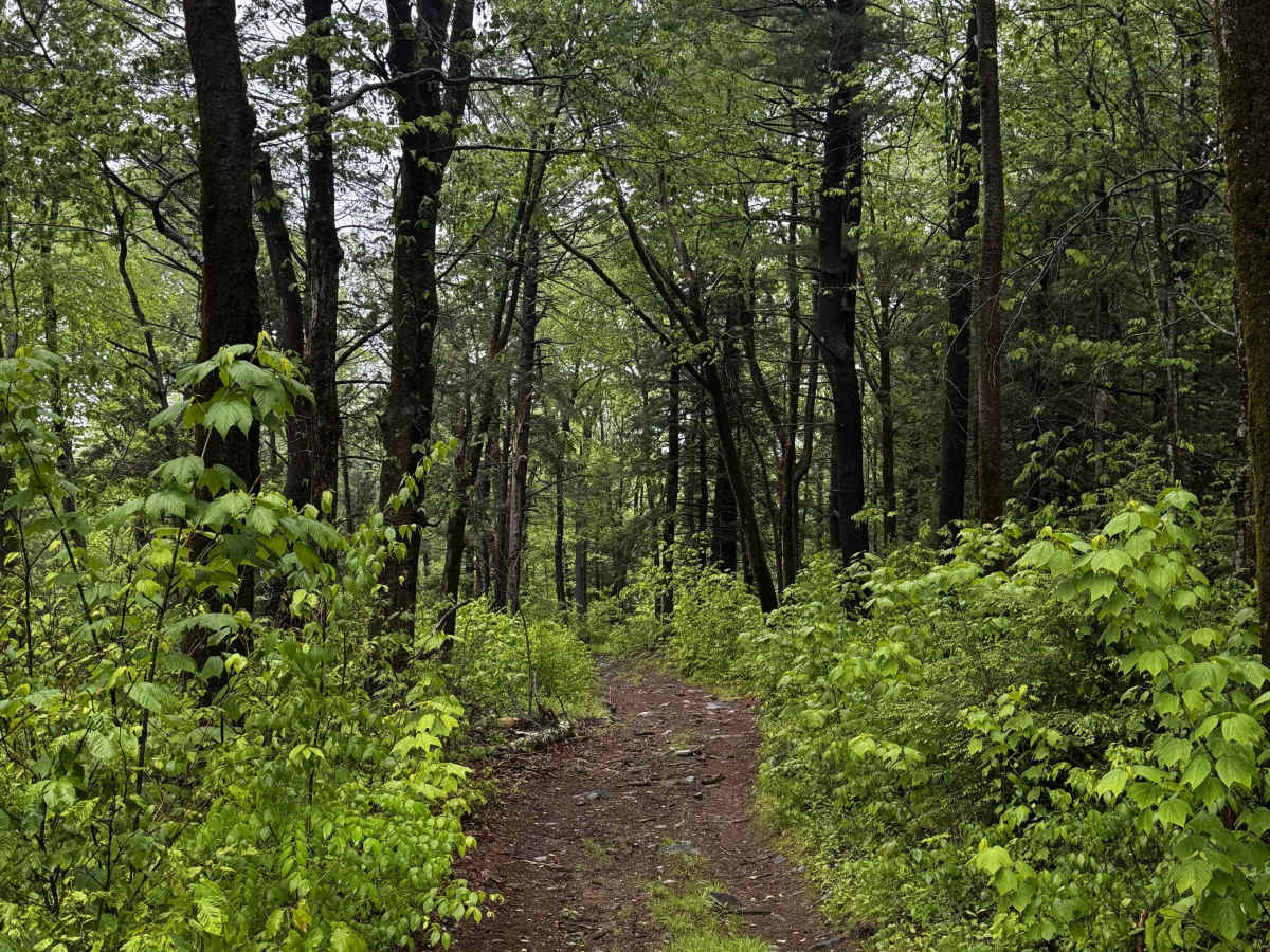 Charles Farnum Road photo 4