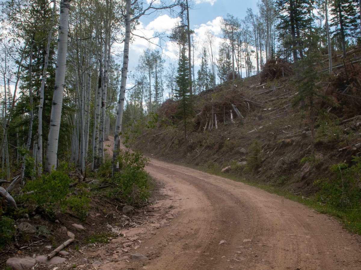 Upper Middle Beaver - FS 80164 trail photo