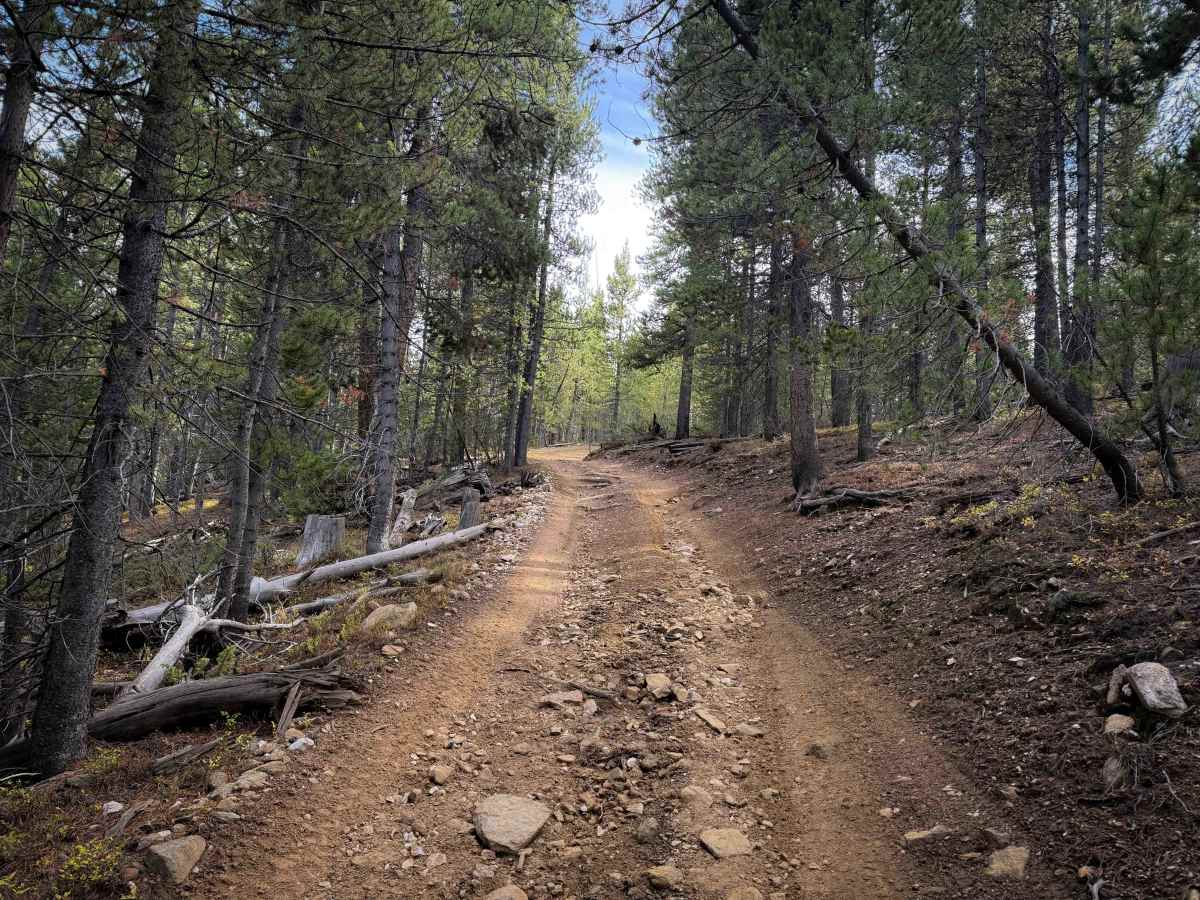 Bald Mountain Trail - FS 644  photo 2