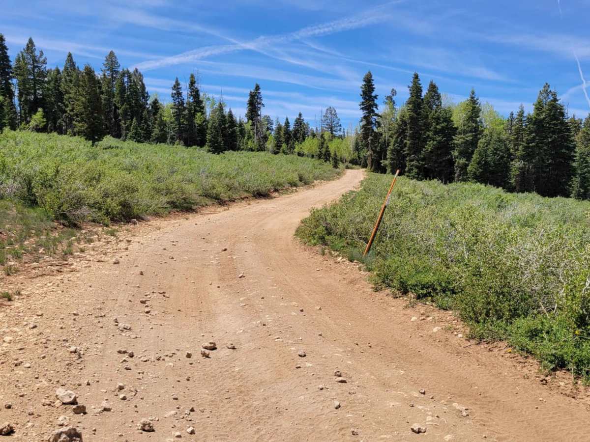 Strawberry Ridge photo 3