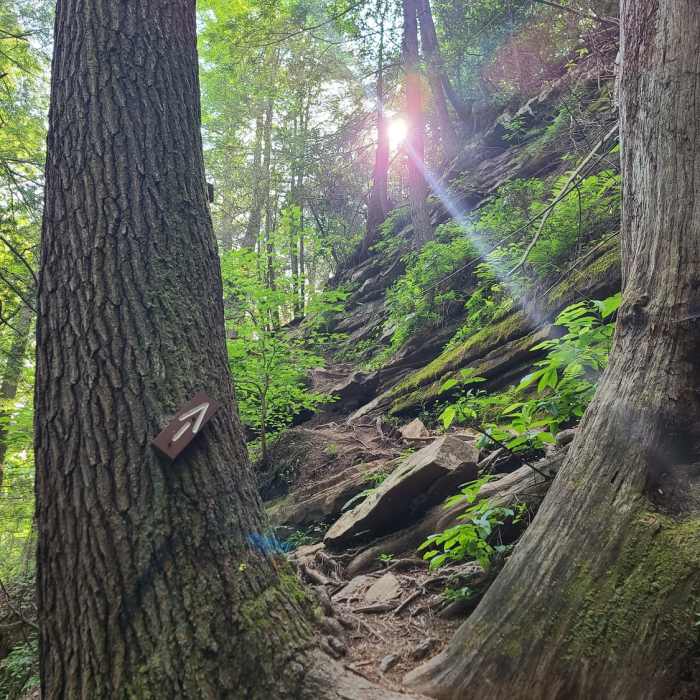 Near Piney Falls Loop