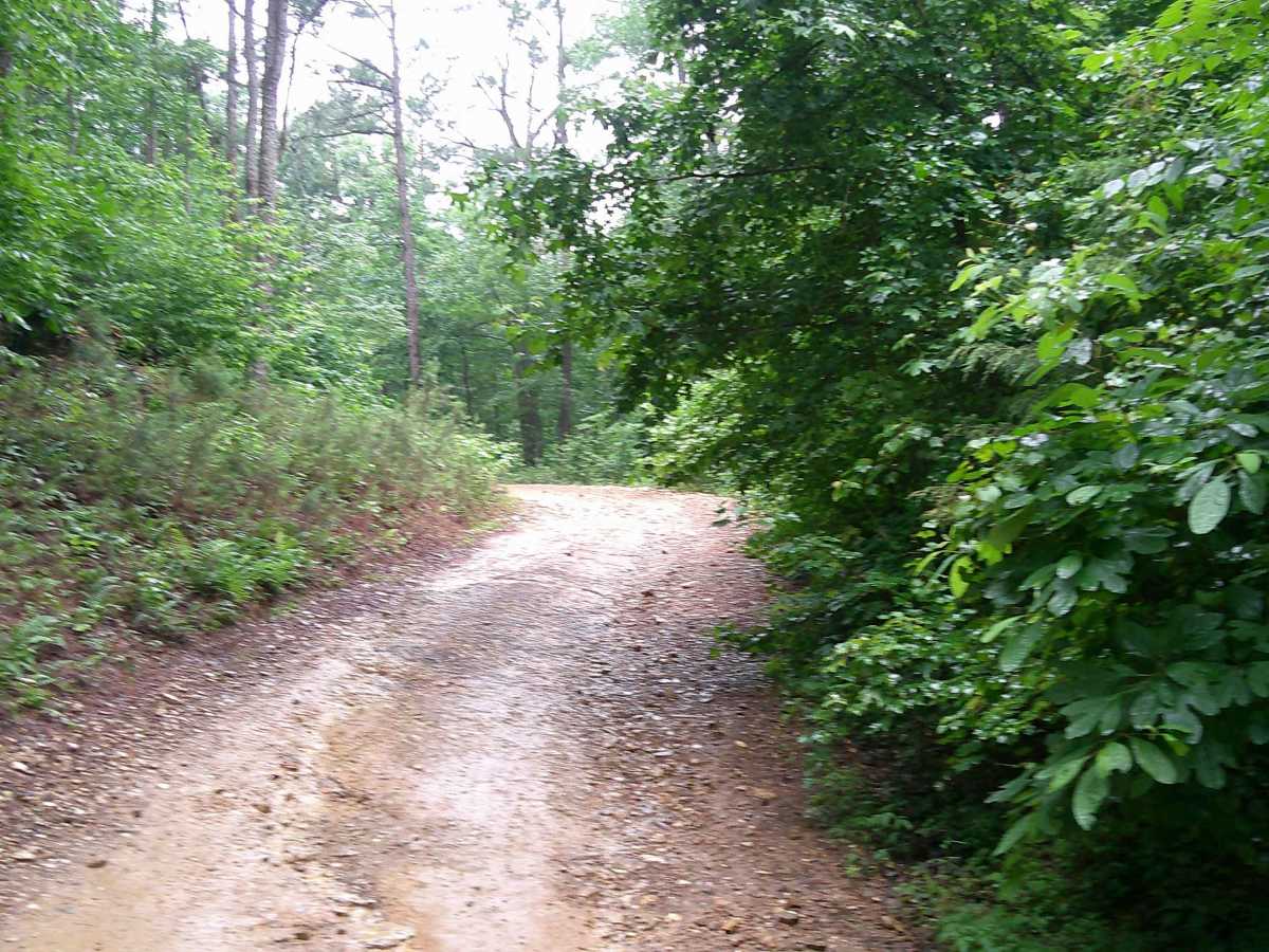 Big Fork Athens Road photo 5