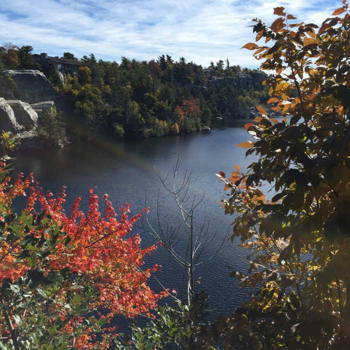 Near Minnewaska Lake Carriageway