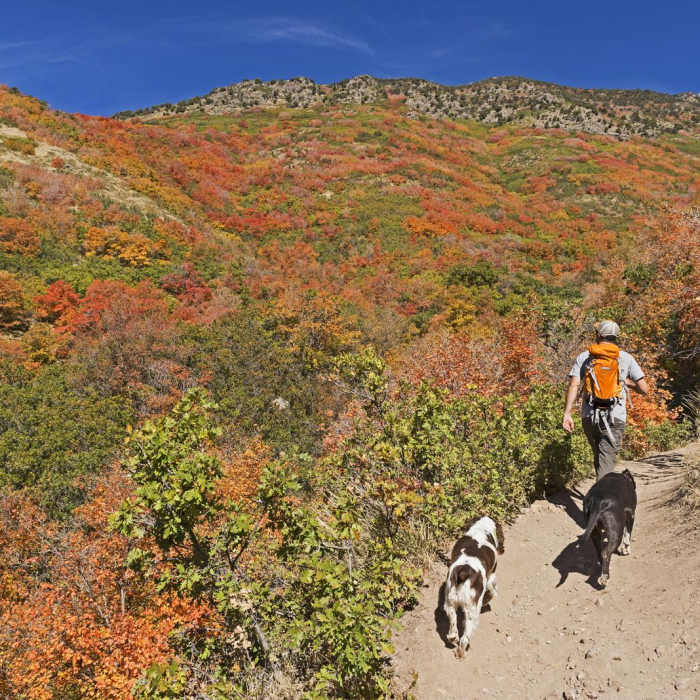 Near Rattlesnake Gulch Hike