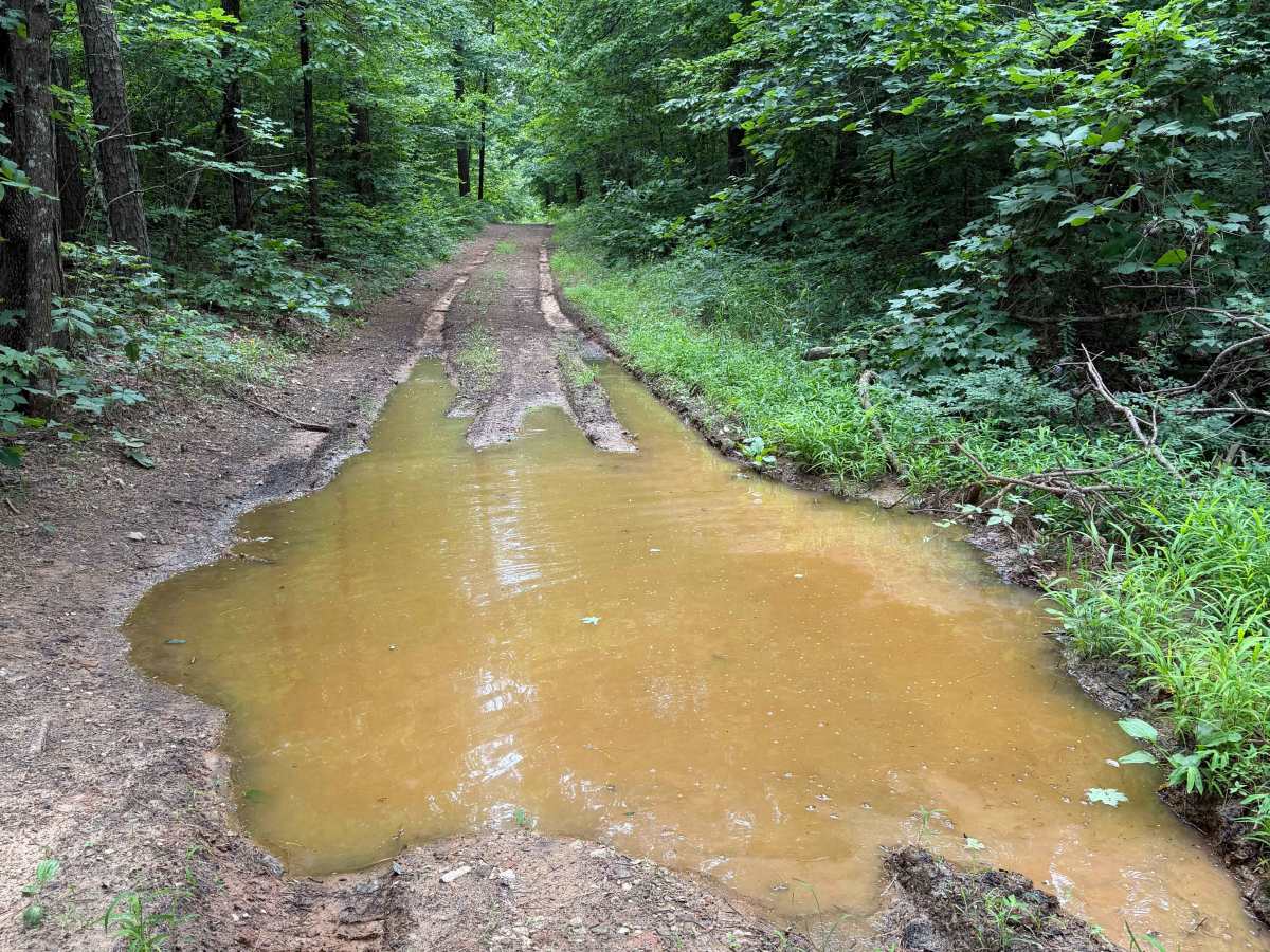 Ozark Beauty Trail photo 2