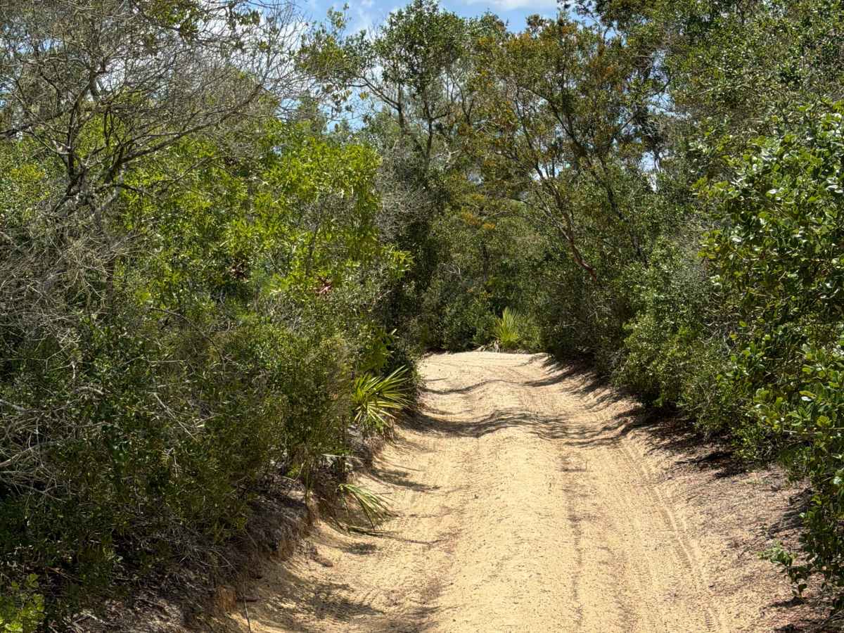 Centennial NE - FS 520 trail photo