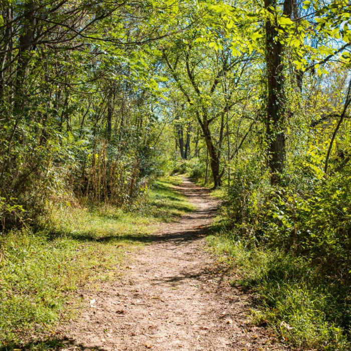 Near Hominy Creek Greenway Near Hominy Creek Greenway
