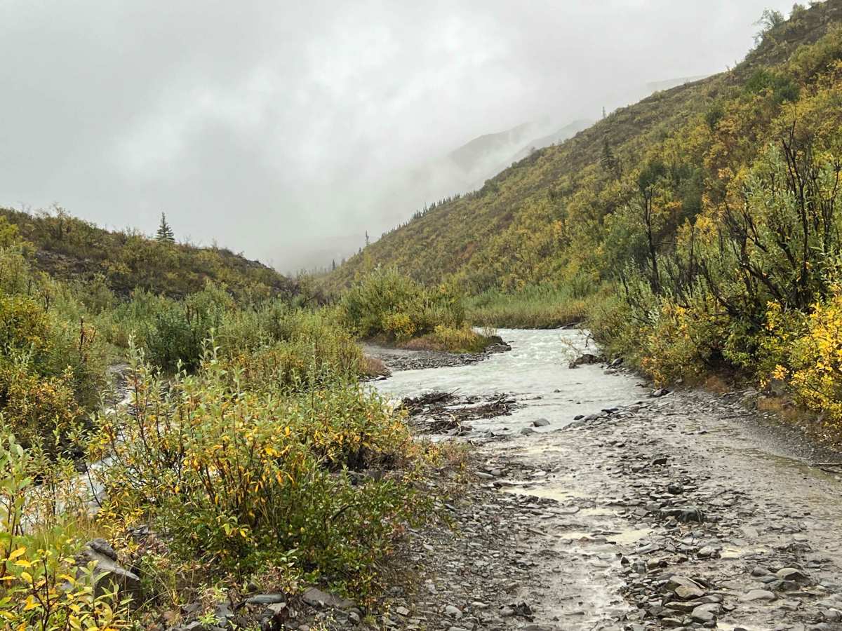 Lower Alfred Creek photo 4