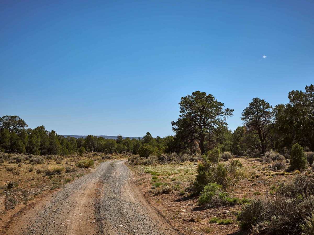 682 Road photo 4