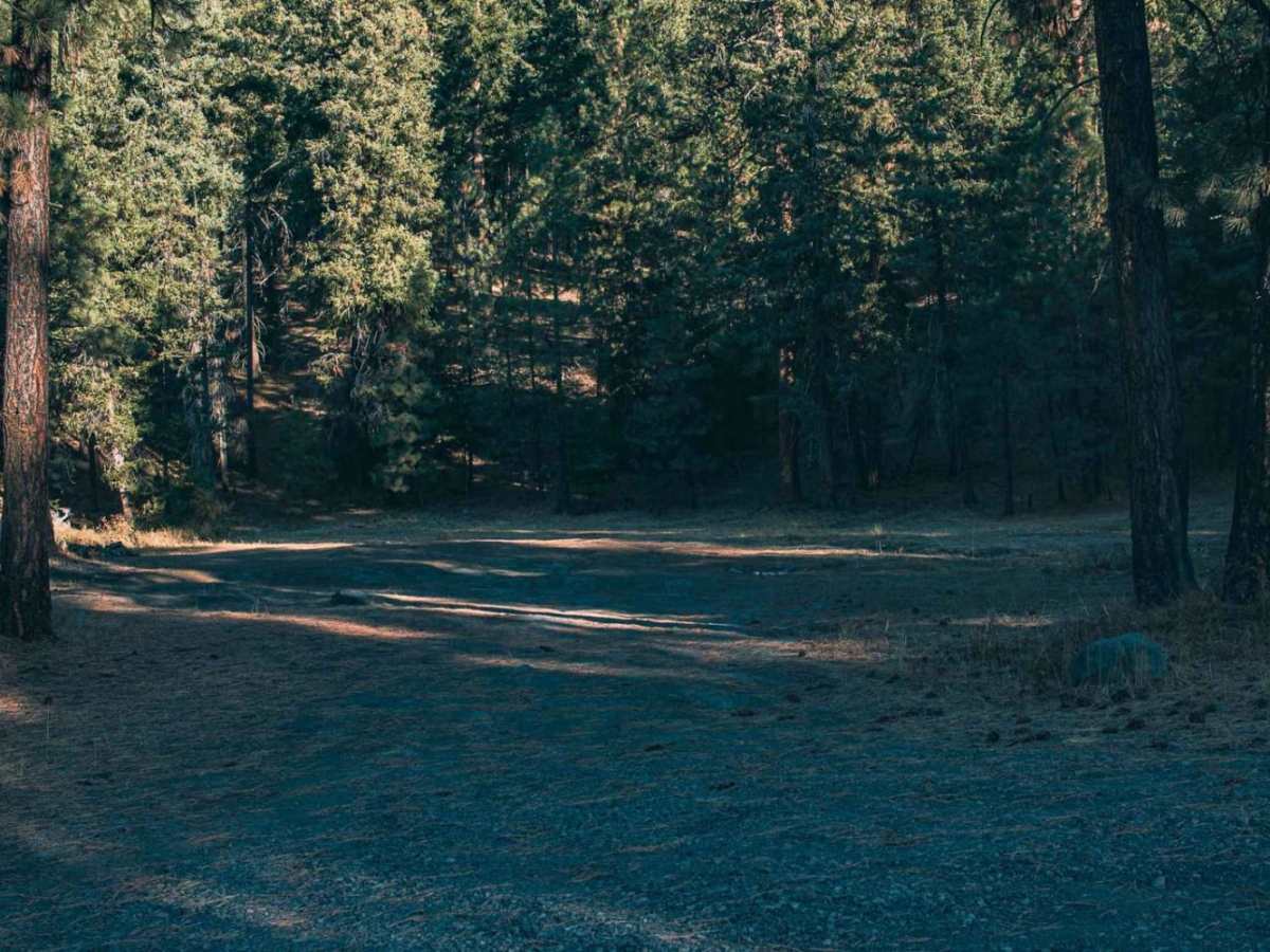 Milk Creek photo 5