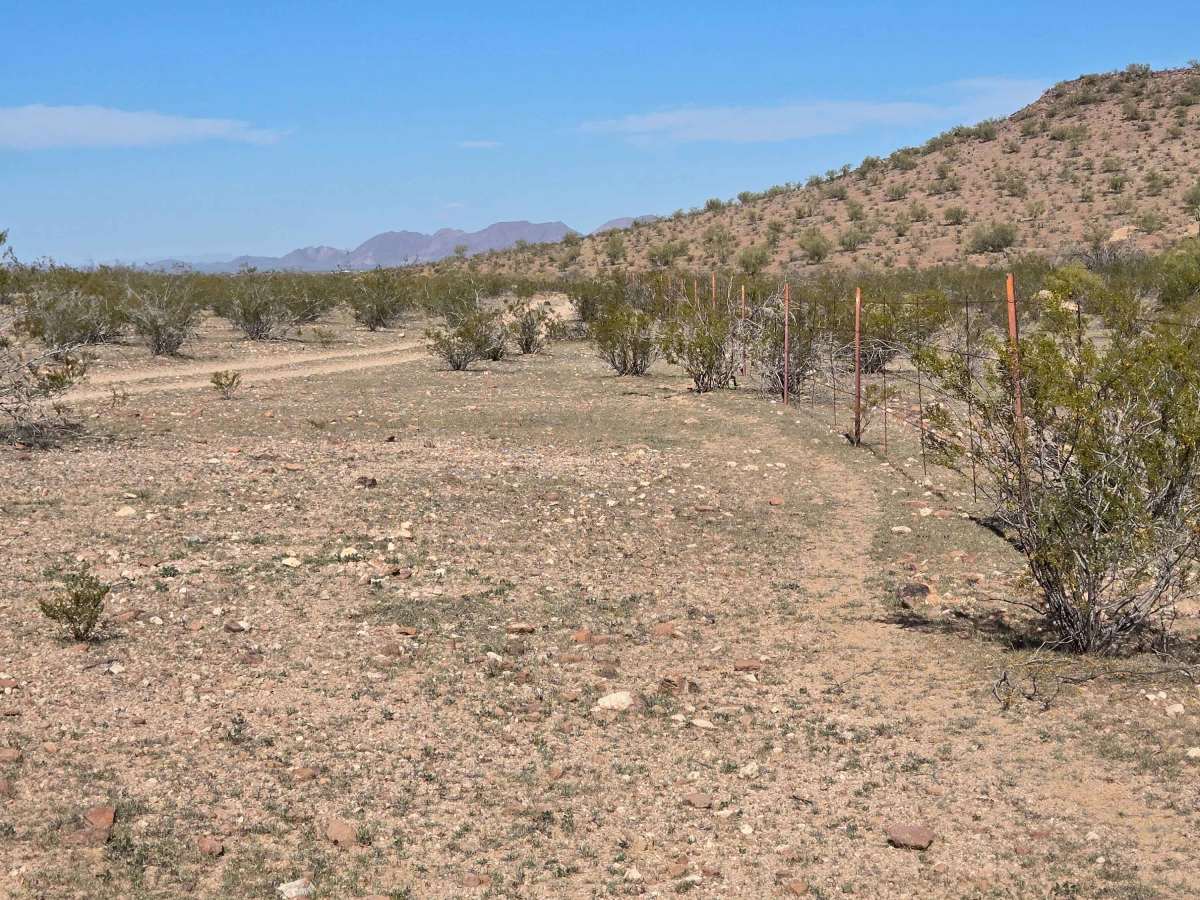 Cut Across the Grassy Plain (Trail 41056/9104) photo 2