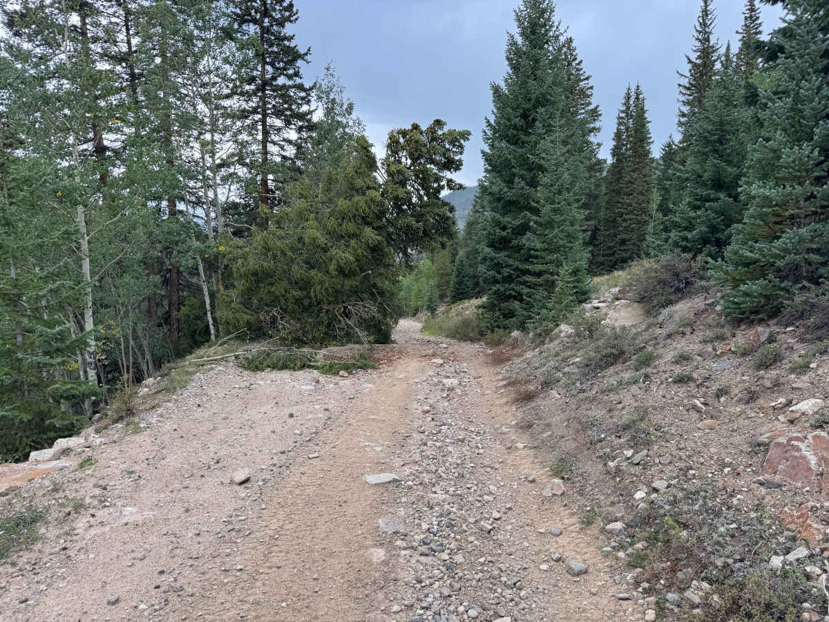 East Fork Eagle River photo 6