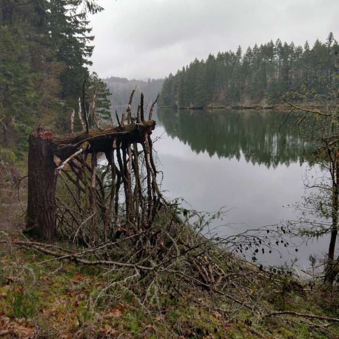 Near Cooper Creek Reservoir Trail