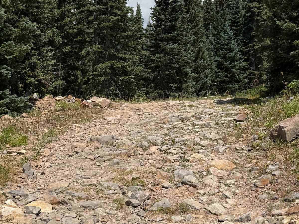 Forest Service Road 566 H trail photo