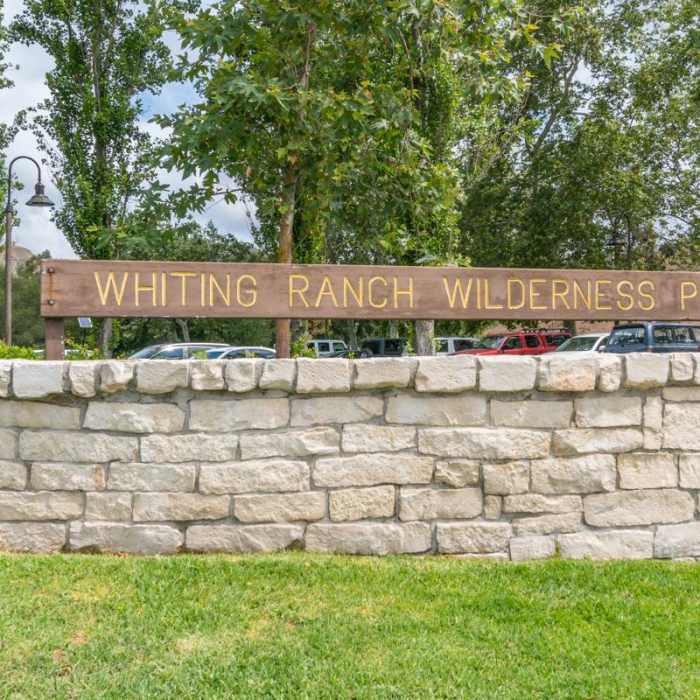 Near Borrego Canyon + Red Rock Canyon Trails