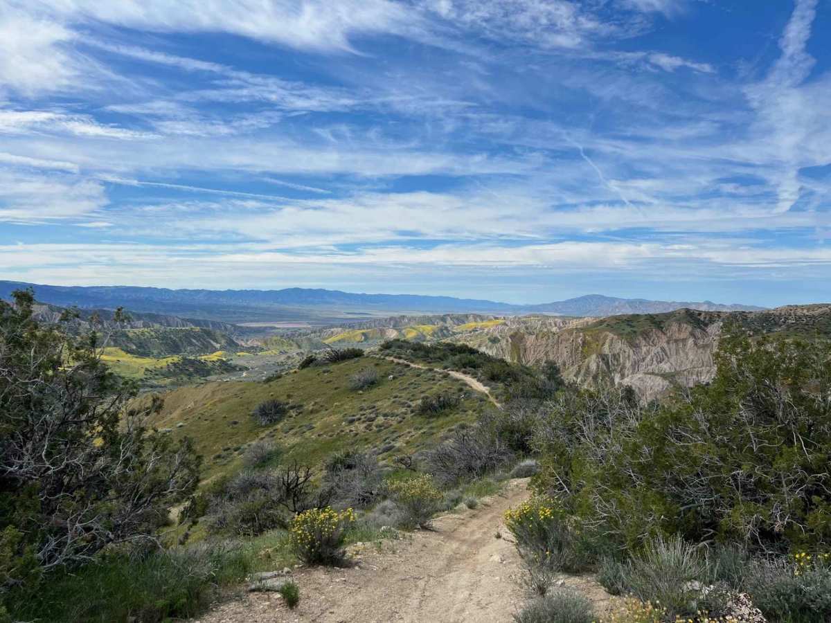 Trail 18 Singletrack  photo 5