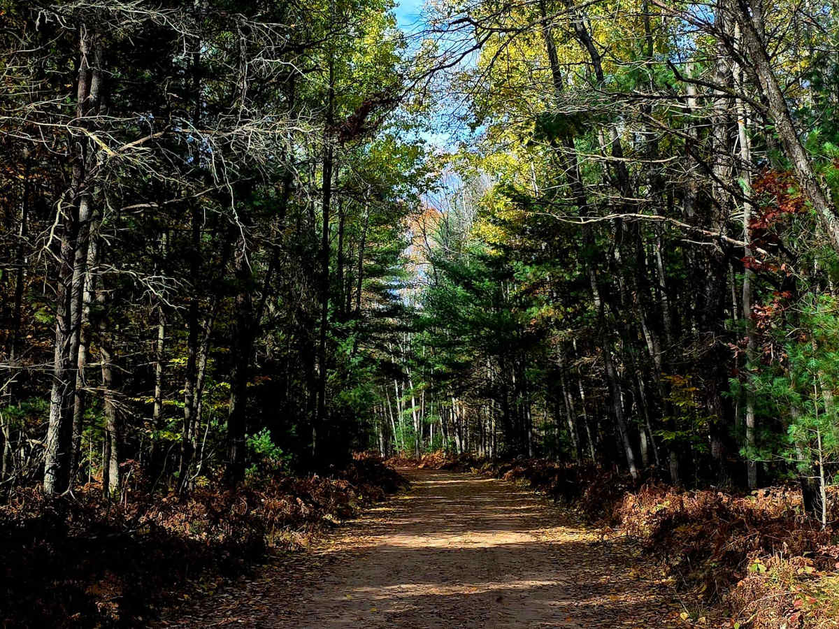 Lanager Run Connector photo 2