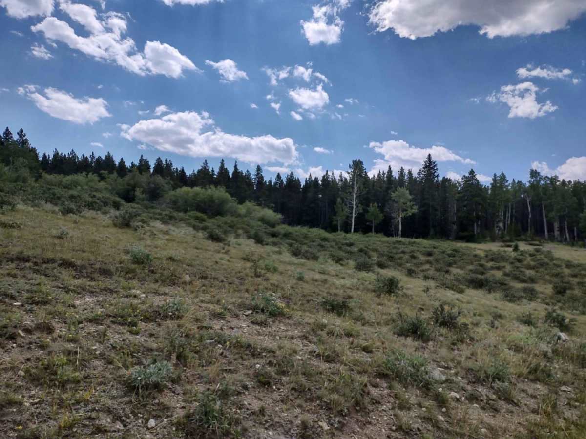 Kingsbury/Todd Cabin to Hazelton Road photo 2