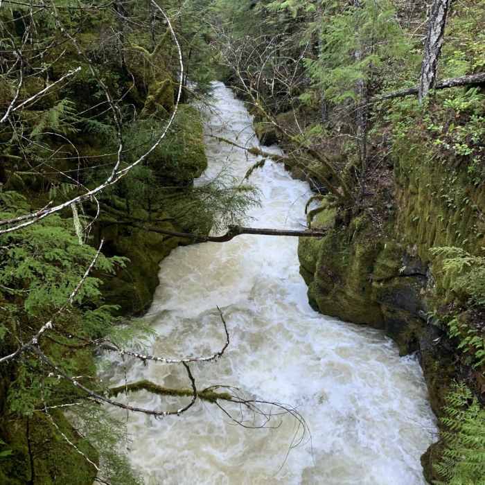 Near Falls Creek Falls Loop