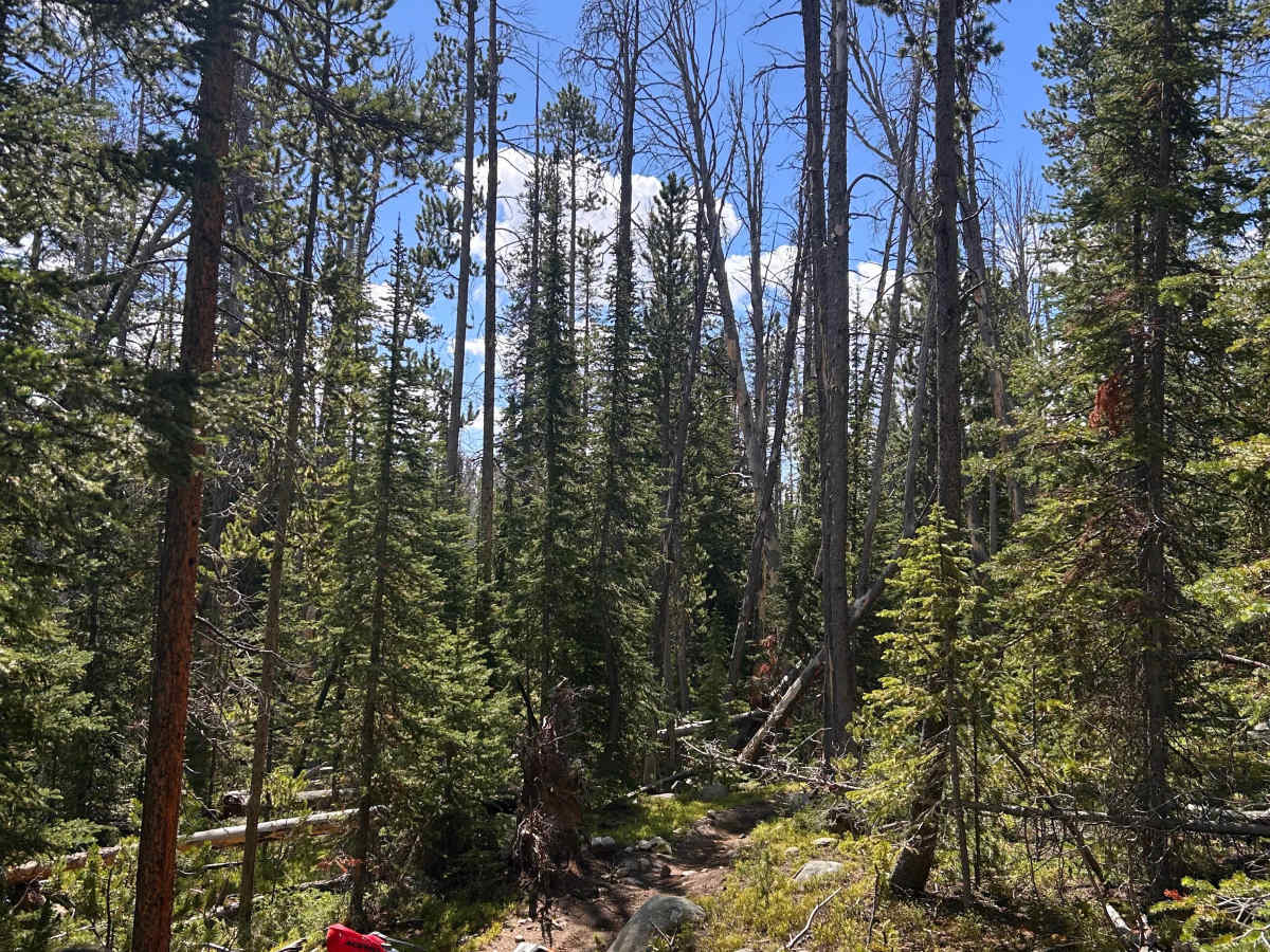 Nez Perce Trail 7092 photo 5