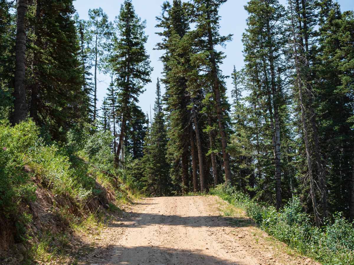 Left Fork Hobble Creek - FS 70147 photo 4