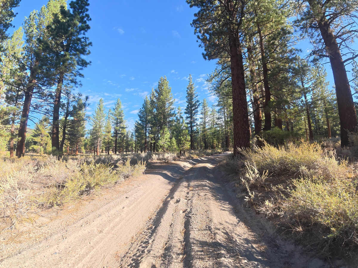 Antelope Loop - FS 3S39 photo 3