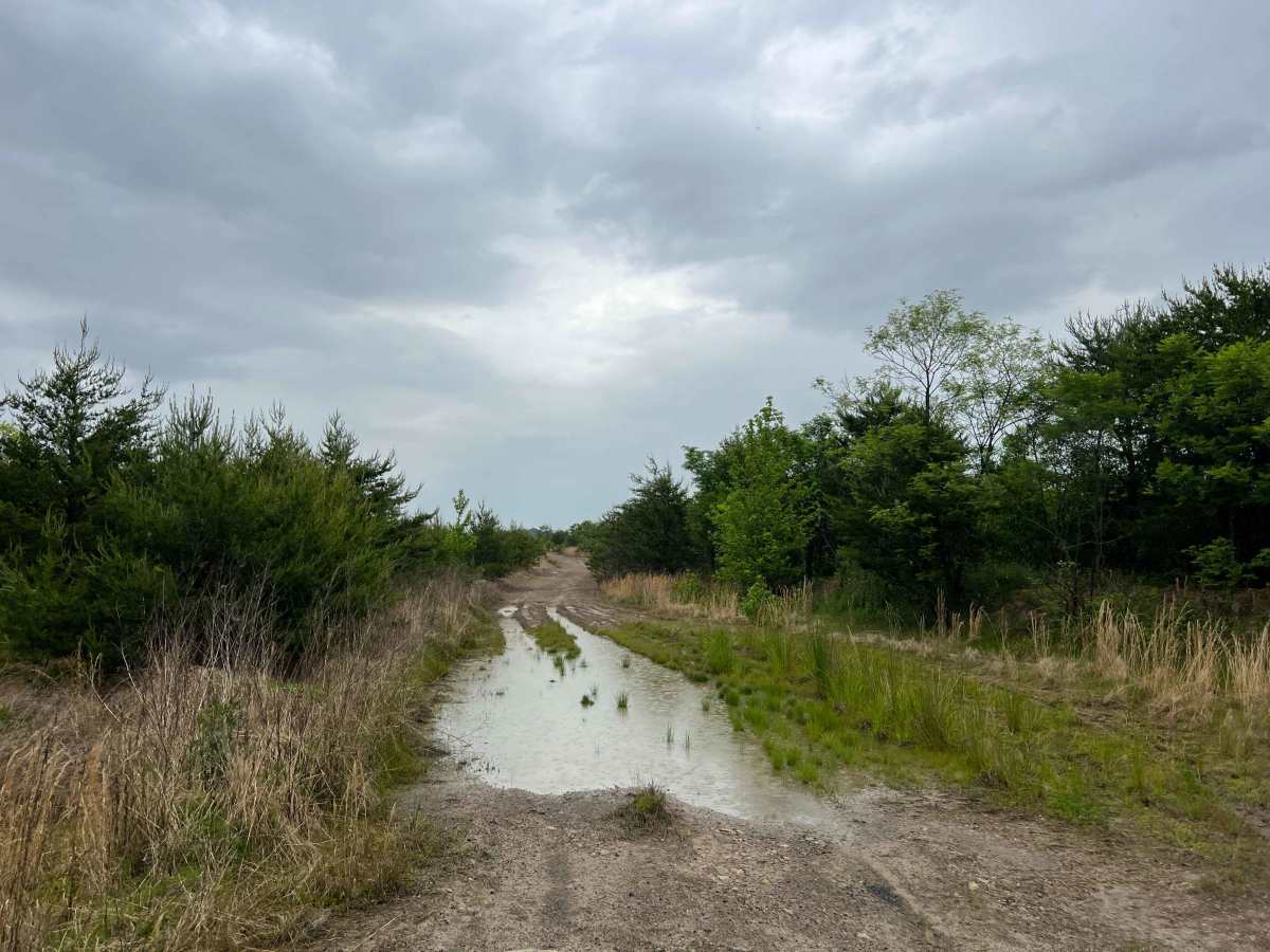 Q60 trail photo