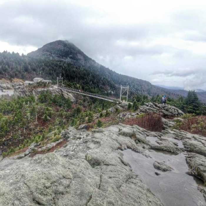 Near Bridge Trail
