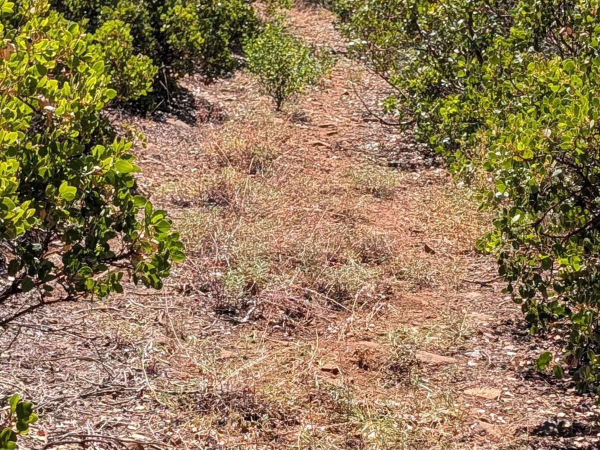 Pit Southwest Mountain - FS 36N21 photo 3