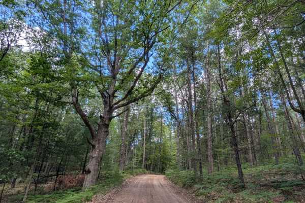 Anderson Road - FS 4984