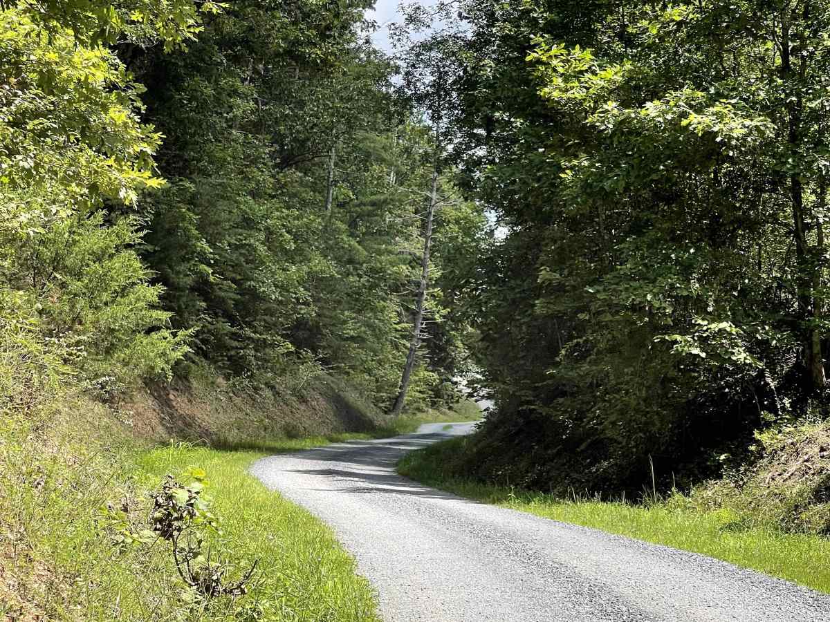 Draft Road trail photo