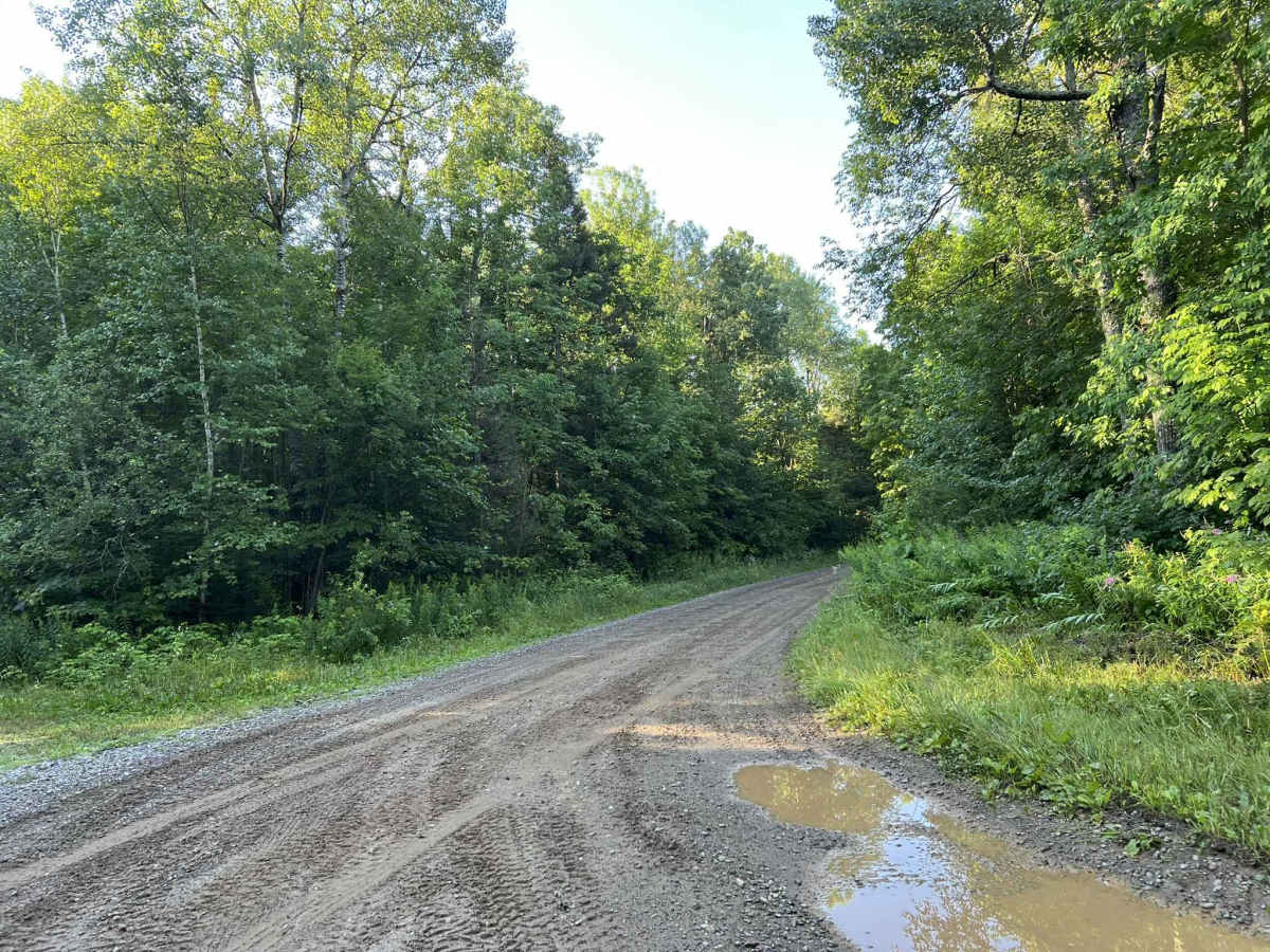  Lost Lake Road - FS 2158 photo 2
