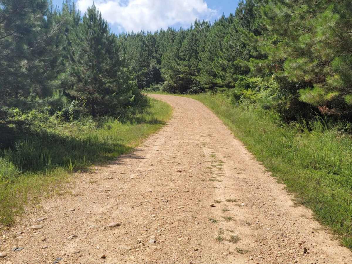 Striking Snake Route trail photo