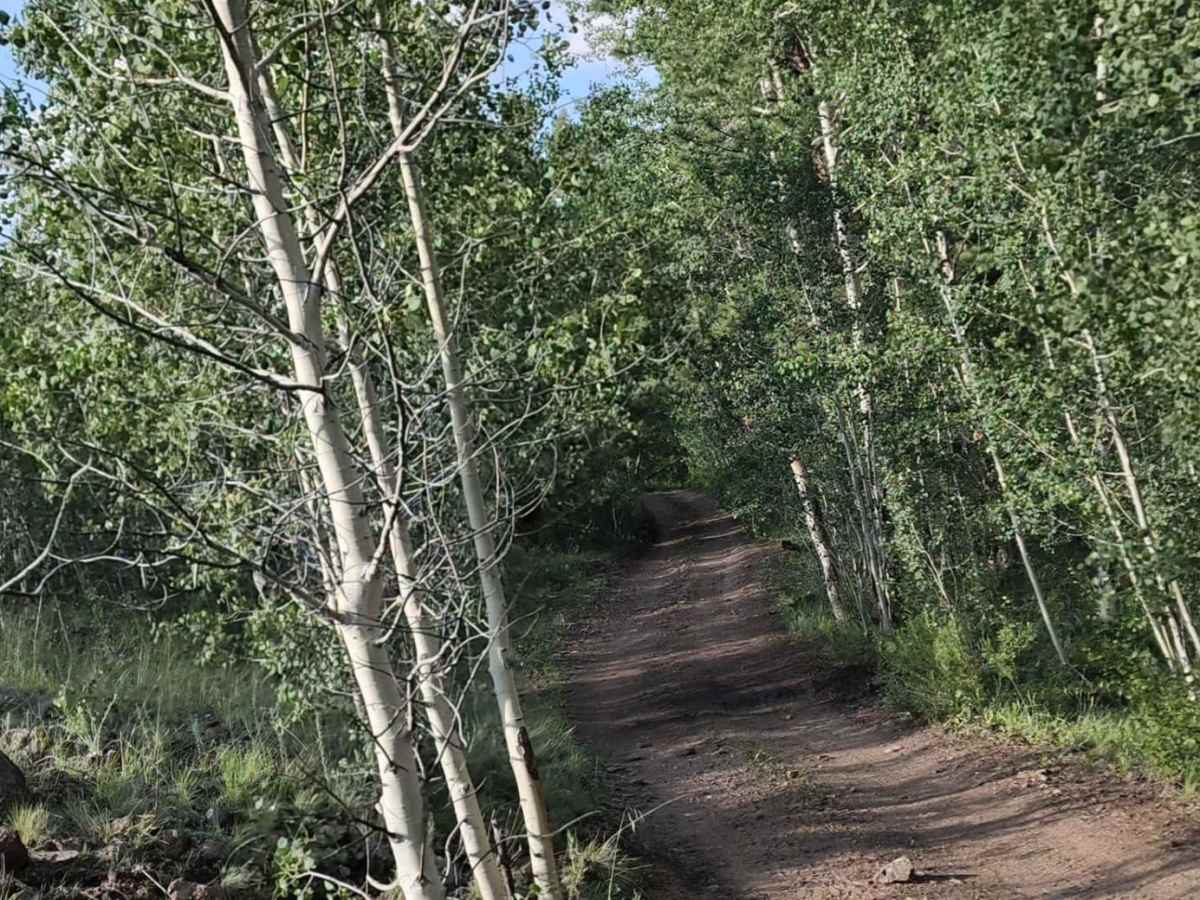 Lone Rock photo 6