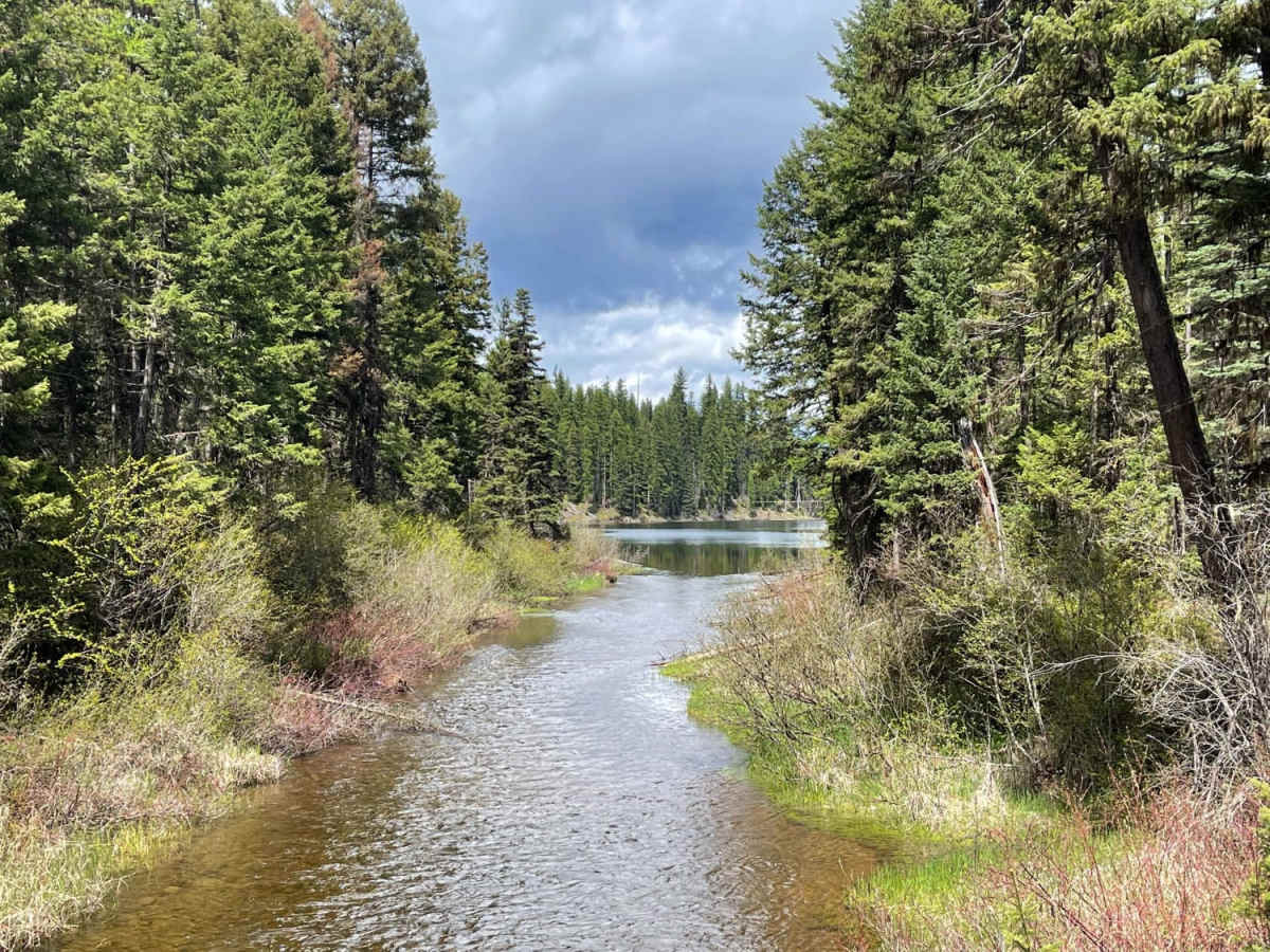 West Fork Clearwater River trail photo