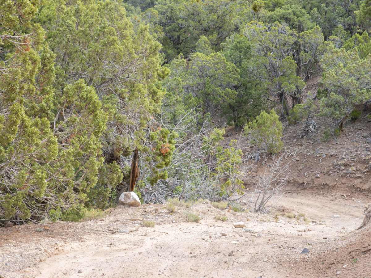Teah Flat Road trail photo