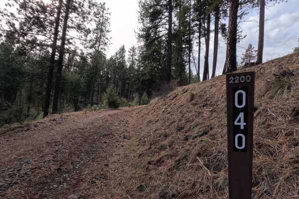 Turner Mountain - FS 2200040