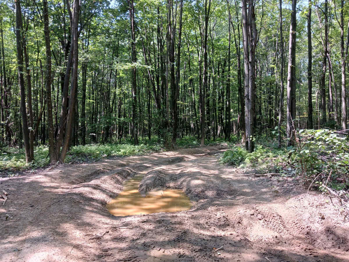 Skunk Loop - Rock Run Recreation Area photo 3