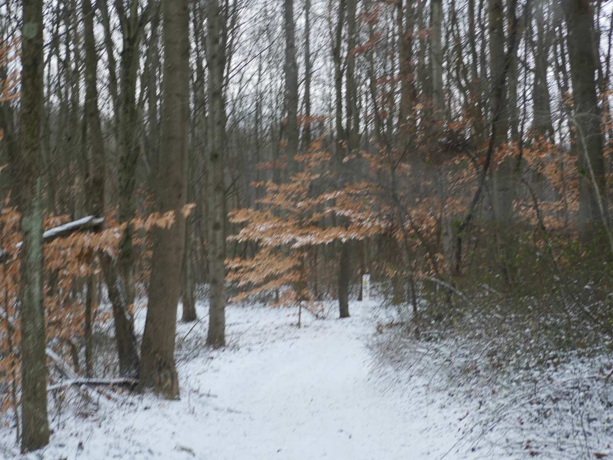 Trail 3 photo 2