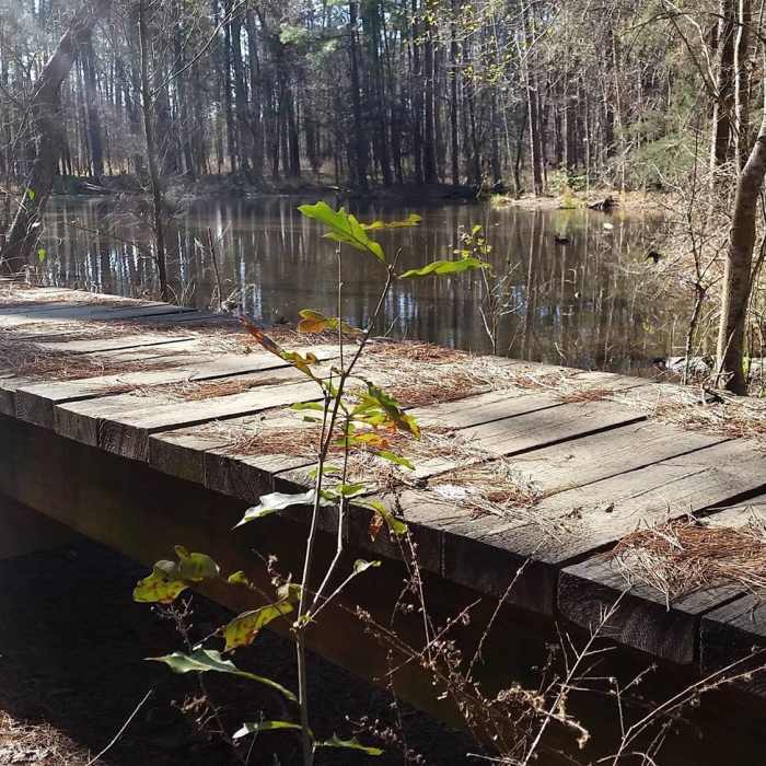 Near 4 C National Recreation Trail