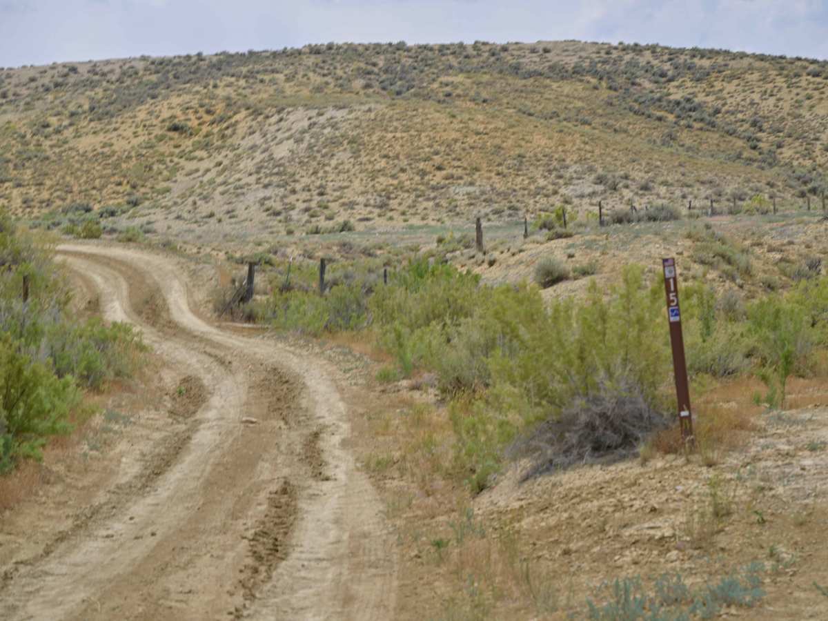 Little Valley Road trail photo