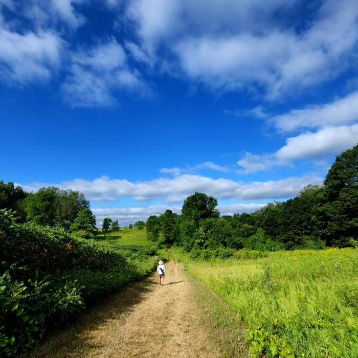 On the way to Intersection 30. Near Minnregs Lake Loop