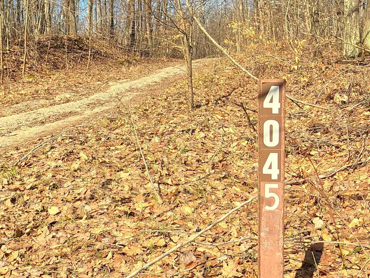 FS 4045 trail photo