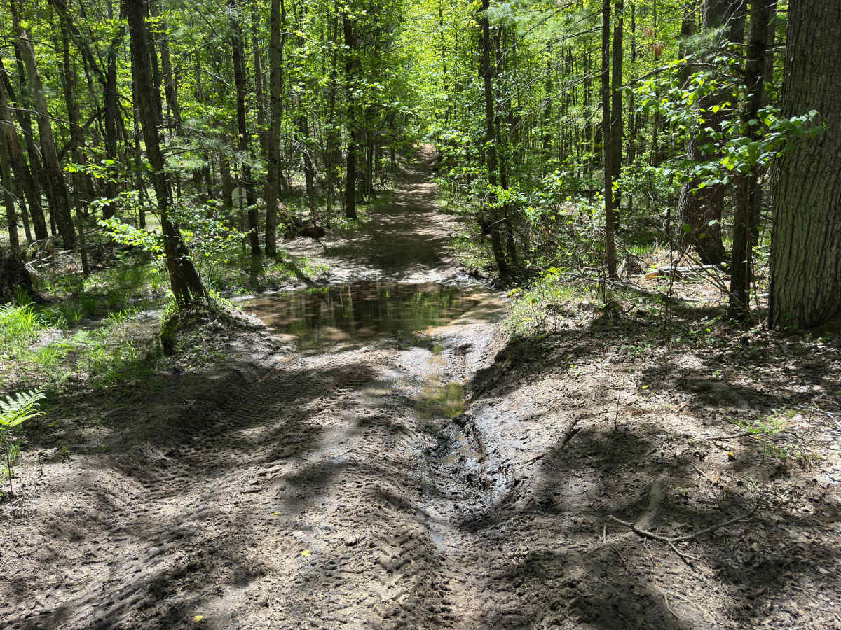 Hippie Circle Trail photo 4