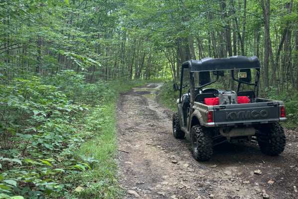 Trail 82