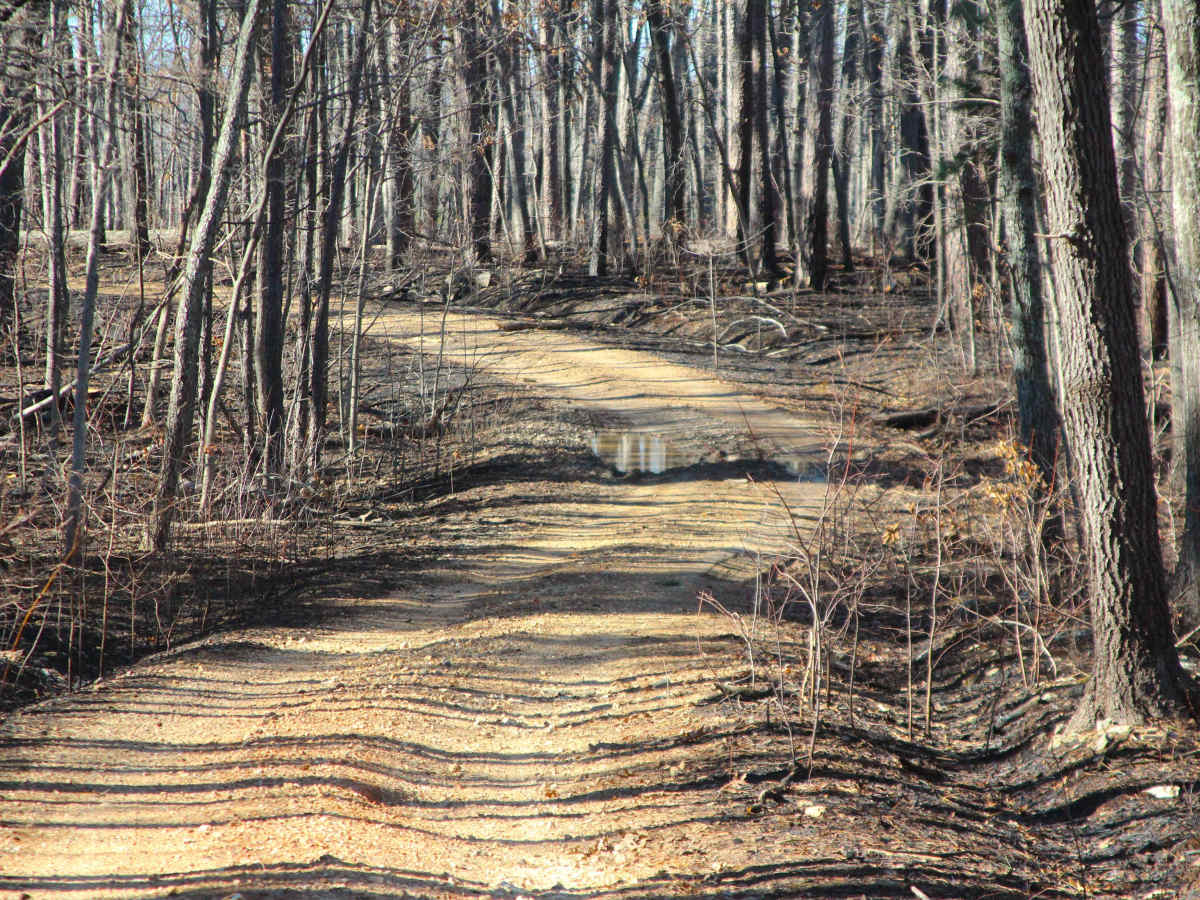 Hidden Pond - FS 2607 photo 4
